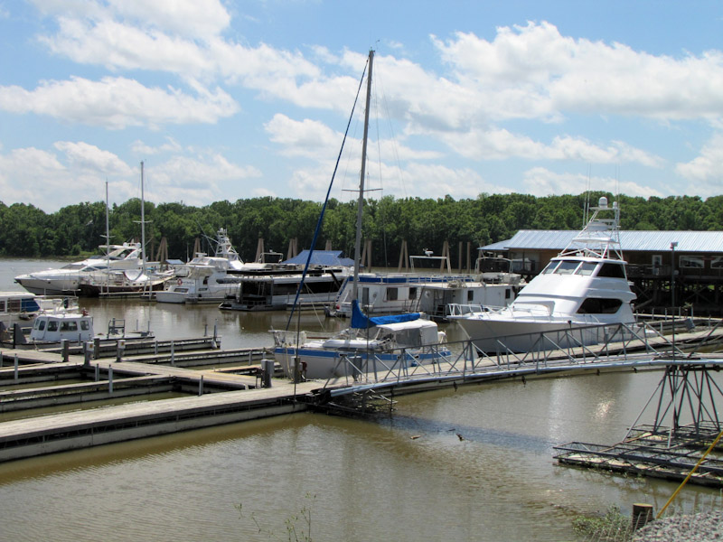 demopolis yacht basin boats sale