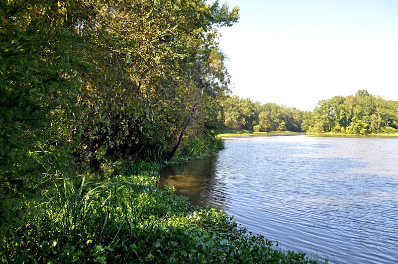 Choctaw National Wildlife Refuge near Womack Hill, AL (Choctaw County) - RuralSWAlabama