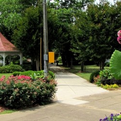 Demopolis Public Square Demopolis Public Square-980x400
